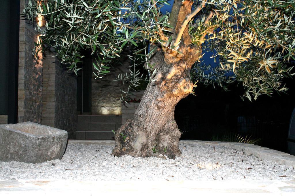 דירות אומאג Olive Charm מראה חיצוני תמונה